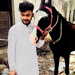 Faraz Majestic