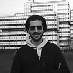 HANNES KNEF
