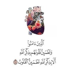 في رحاب القرآن