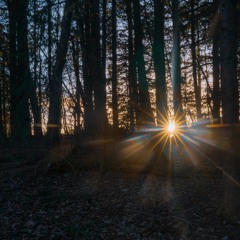 Everybody Does - Julien Baker cover