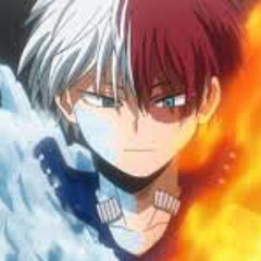 Shoto Todoroki