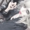 she.☆