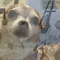 Pnutbttrsauce