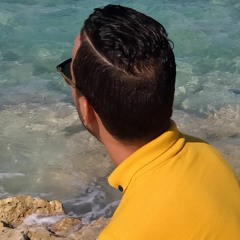 Alaa Elswisy