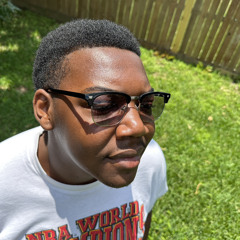 Insane Productionsav