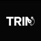 Trin_dnb