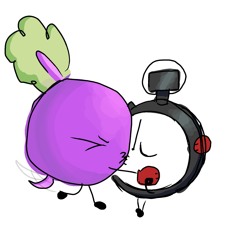 beettimer