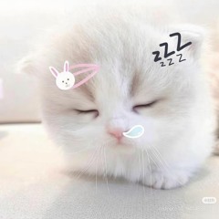 しあ