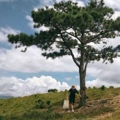 Nguyễn Thị Tường Vy
