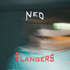 Ned Flangers