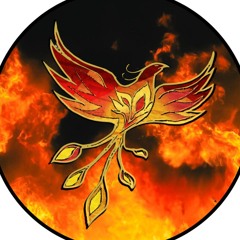 Tonio Drôle d'Oiseau