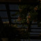 _softing1
