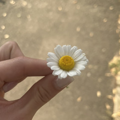 VerRkOnnn🦋