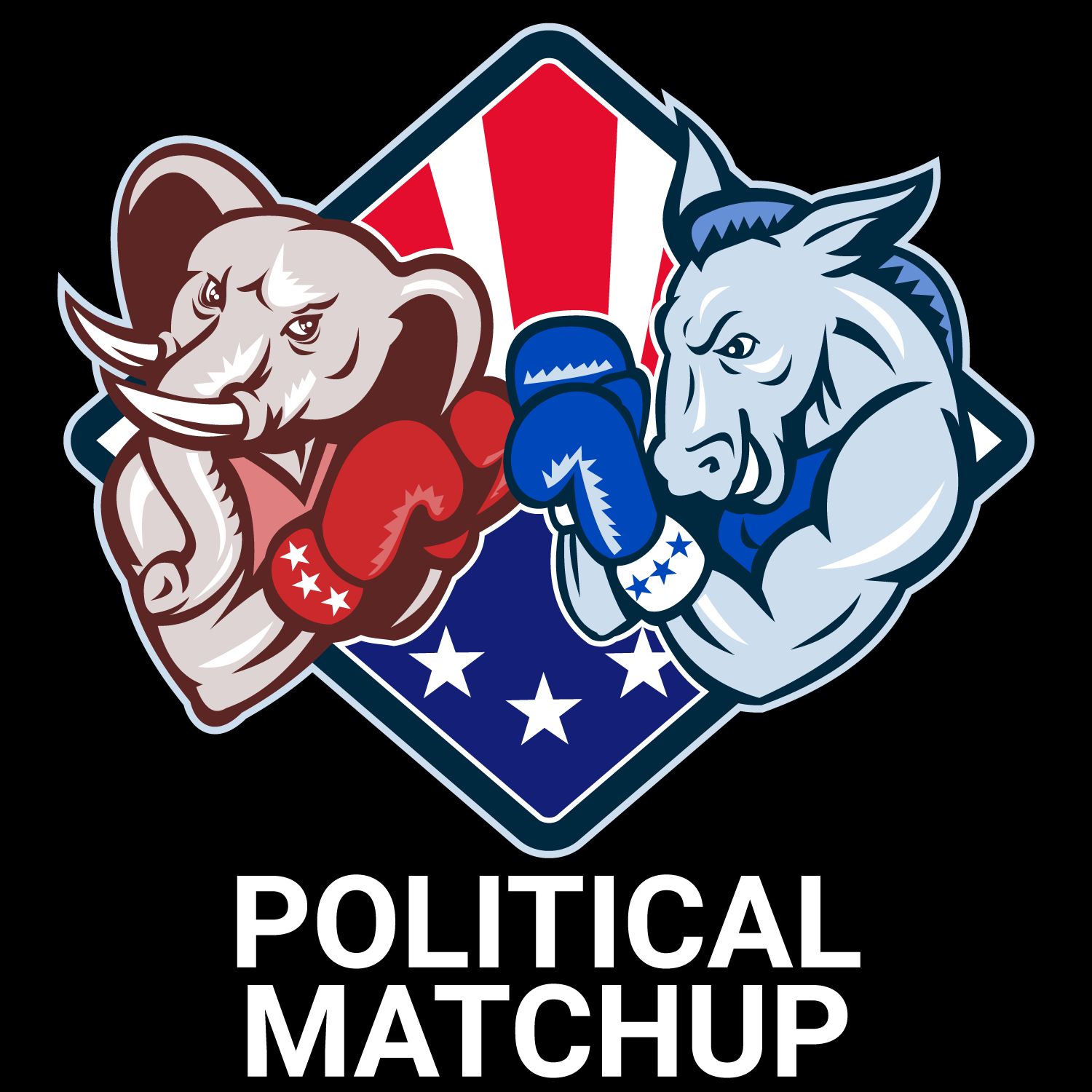 Political Matchup