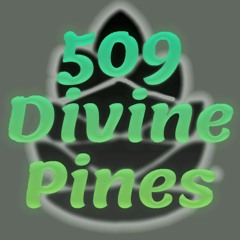 509 Divine Pines