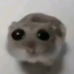 Hobbelpaard Remix