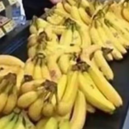 Vidas Bareikis - Aš nepamesiu savo dainos