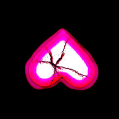 Kuroyuki Lightvale, Nicknamed “Kuro”