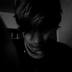 Carnage Gingstar Zommy Dragon Cain CingGrr