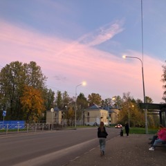 Ленинский пр.