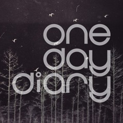 One Day Diary