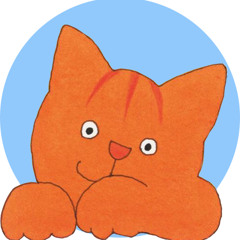 DR DIK