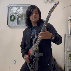 Life With Distortion