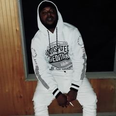 Hussleboibug300
