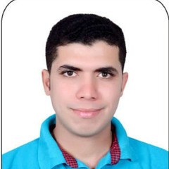 Ahmed Aggor