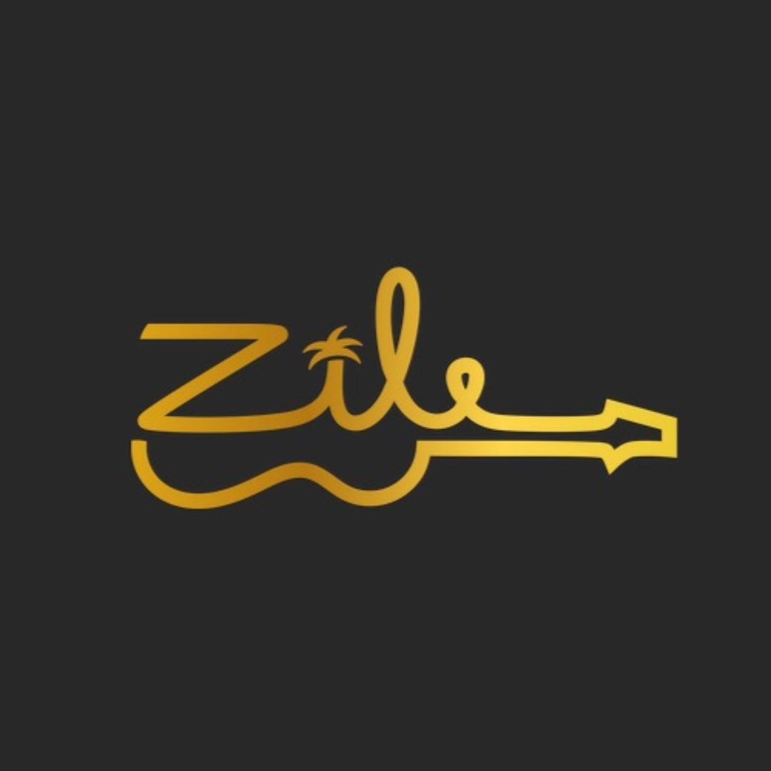 Stream ZiLE music | Listen to songs, albums, playlists for free on ...