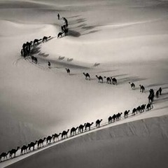 أبو إبراهيم