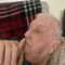 Pawpaw