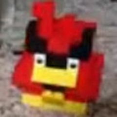 TheAngryBird95