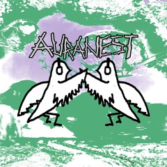 AURANEST COLLECTIVE