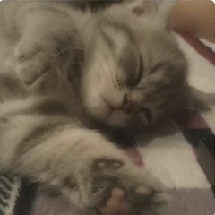 qwvwprx:>