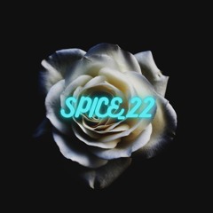 SPICE_22