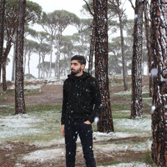 Mohammad Haidar Bahsoun