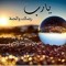 Hamada Sabry Yasseen