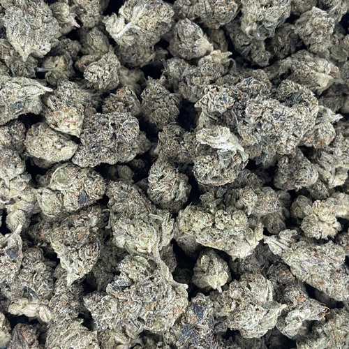 Meeski Money - No Mentions Ft Jiggz 6ixx Tmg Yinky