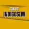 IndigoSEM Record®