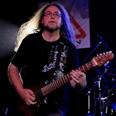 Zoltan Fabian Guitarist