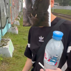 Molodoy balls