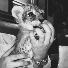 IVAN LIULENOV Теплих вечорів