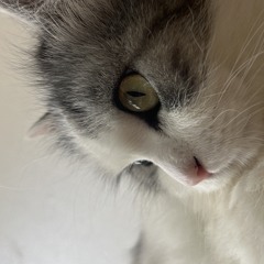 얘우