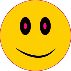 The smiling assassin