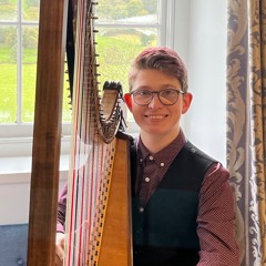 Gareth Swindail-Parry - Harpist and Composer