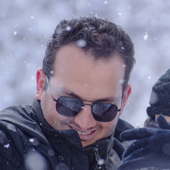 Hamid SafiZadeh