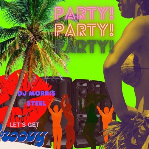 WE LIKE TO PARTY WITH MOMO AT THE VENGA BUS