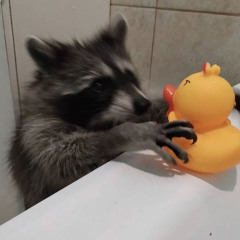 ThrashPanda