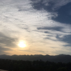 baela